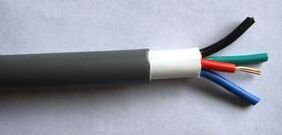 WDZ-FSY-YJY交聯聚乙烯絕緣無鹵低煙阻燃防鼠防白蟻電力電纜 WDZ-FSY-YJY交聯聚乙烯絕緣無鹵低煙阻燃防鼠防白蟻電力電纜